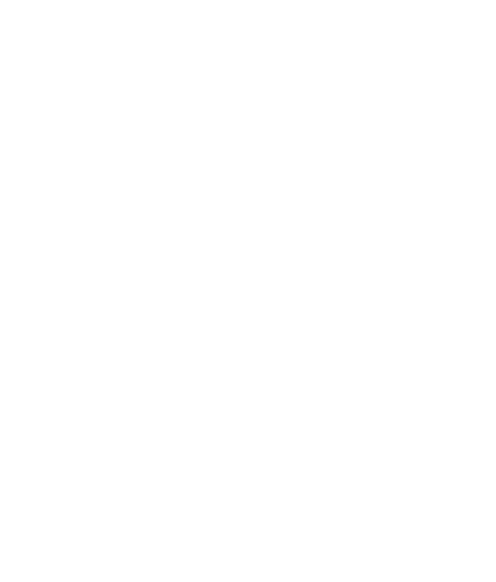 Speedsail logo